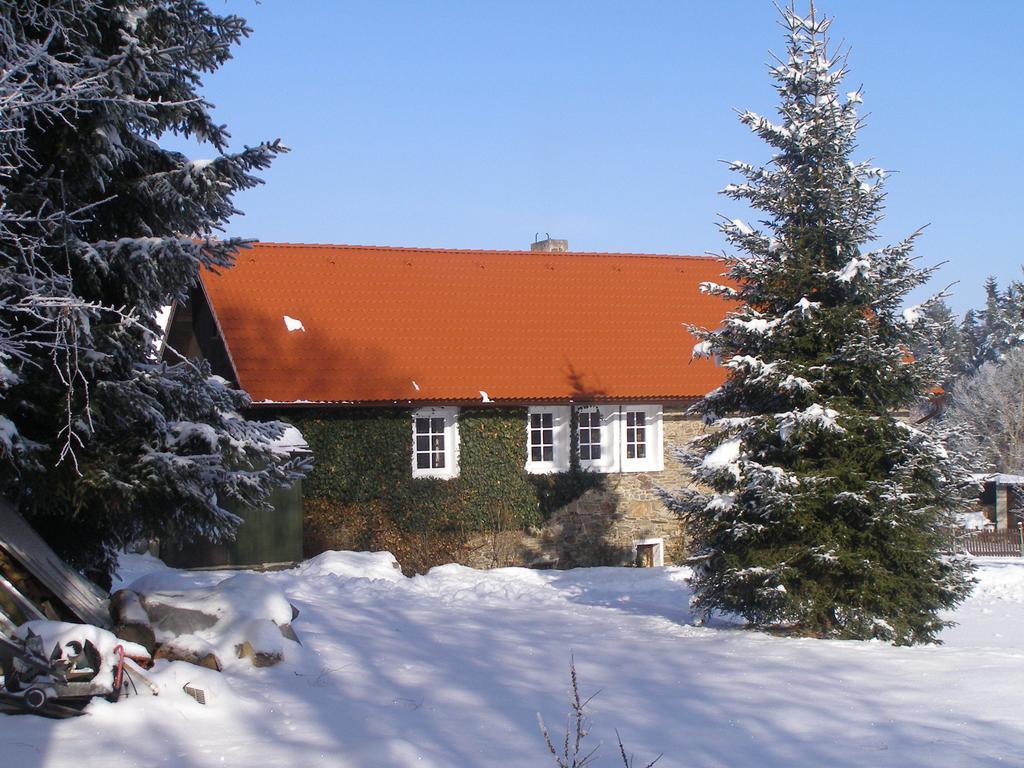 Apartman Dvorecna Лоучовице Номер фото